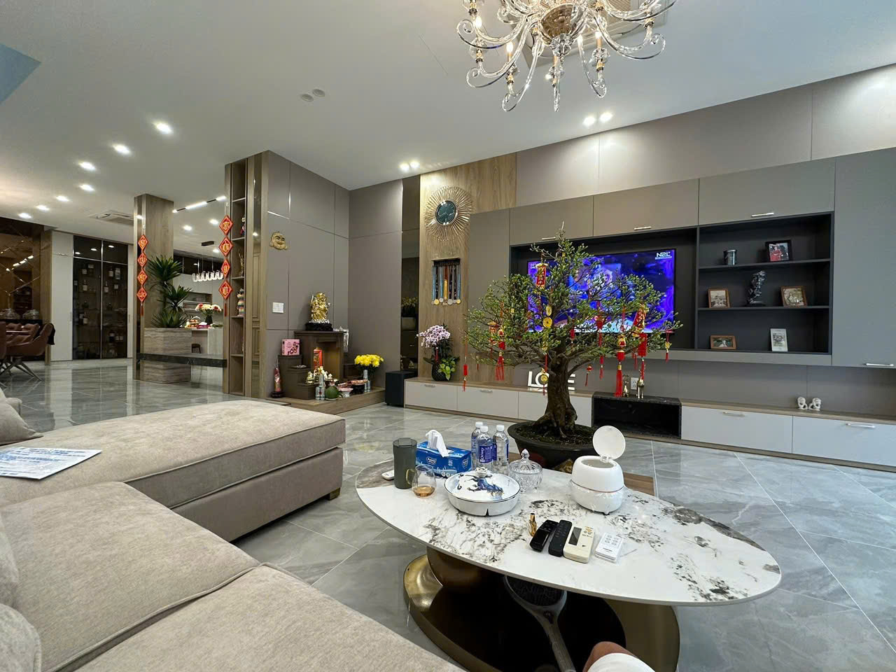 BIỆT THỰ SÂN VƯỜN CAO CẤP - TRUNG TÂM QUẬN 5 2